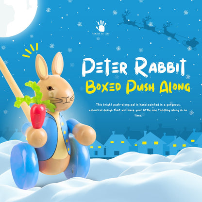 Peter Rabbit™ Boxed Push Along