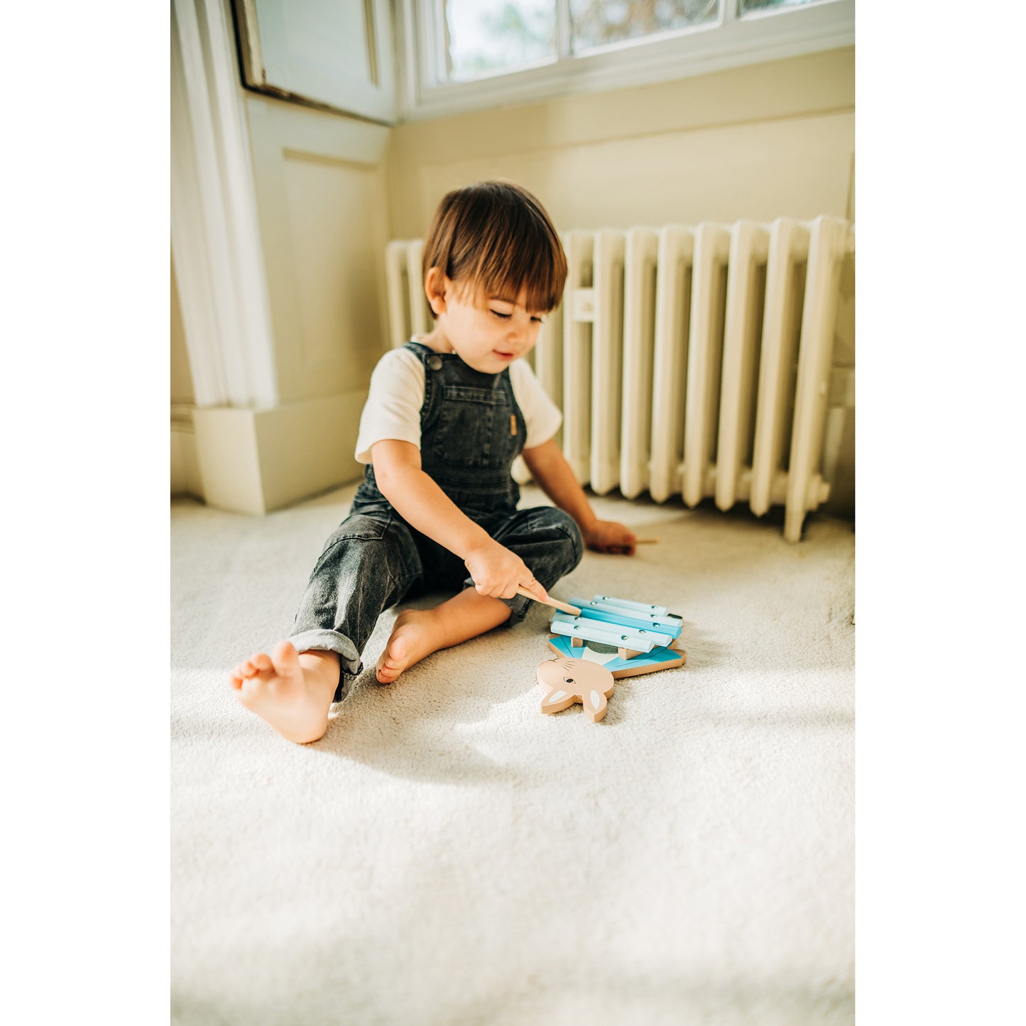 Peter Rabbit Xylophone