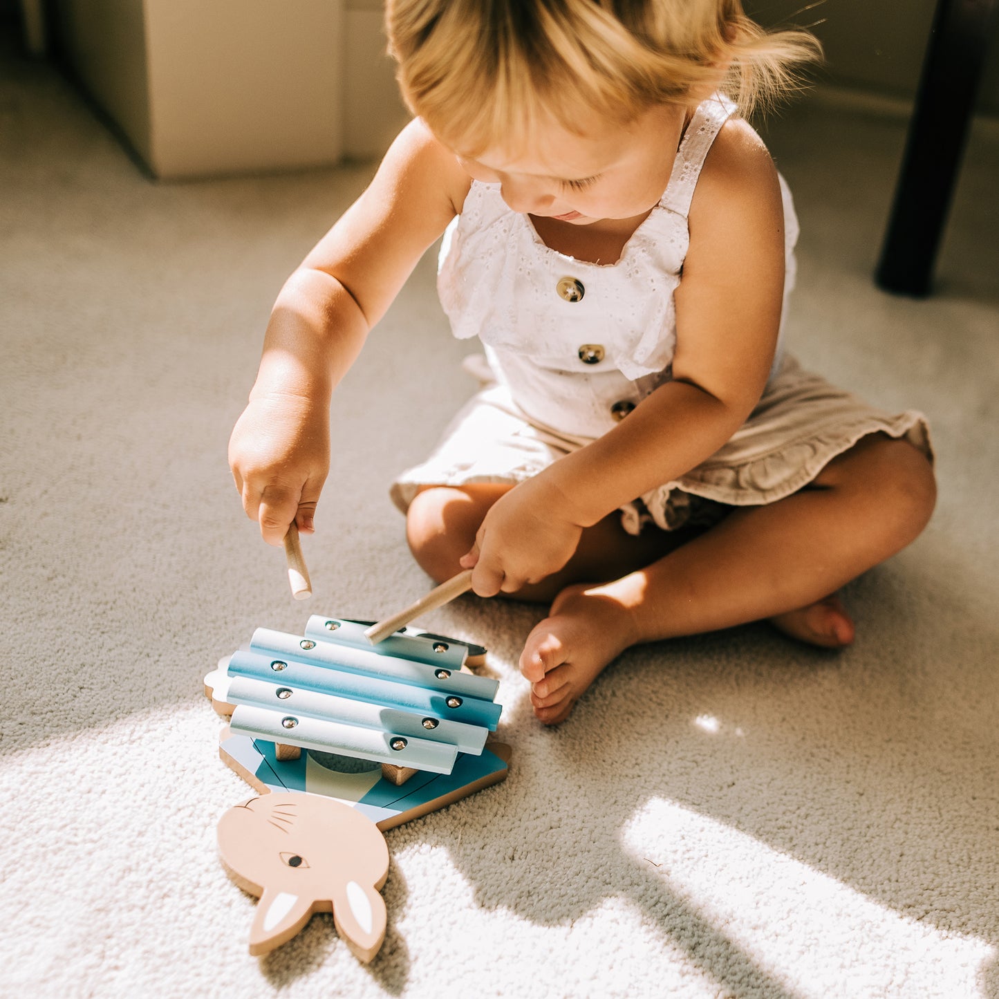 Peter Rabbit Xylophone