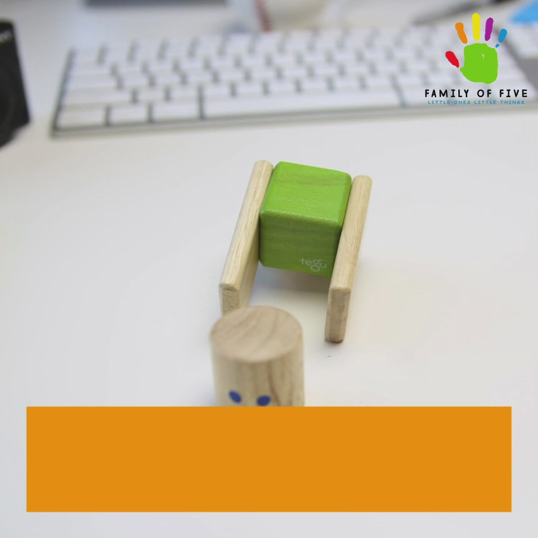 Magnetic Wooden Blocks