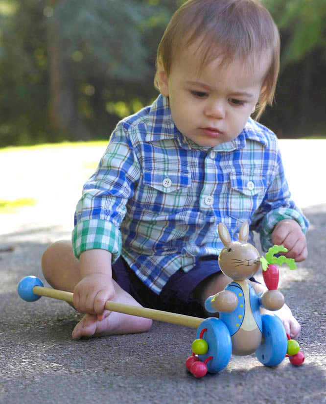 Peter Rabbit™ Boxed Push Along